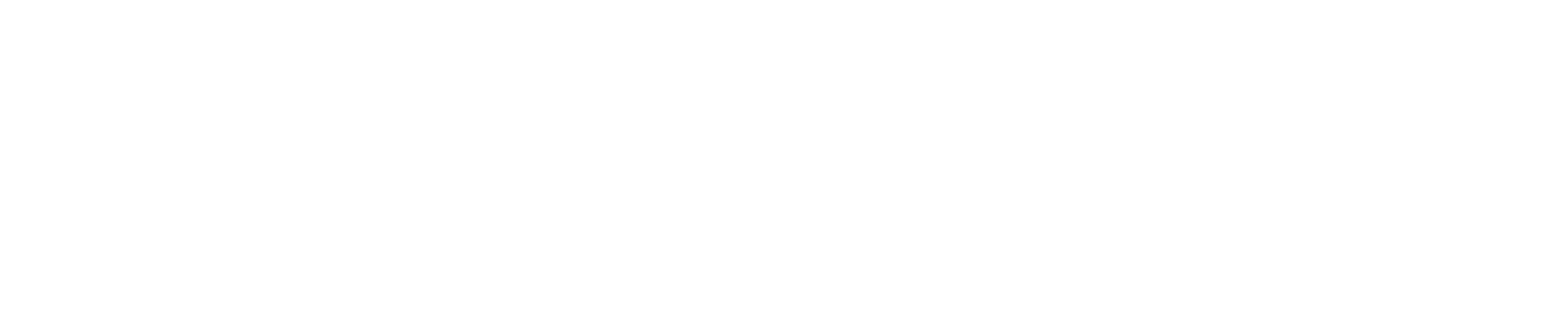 Partner 1